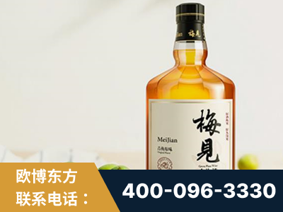 高平-梅见青梅酒